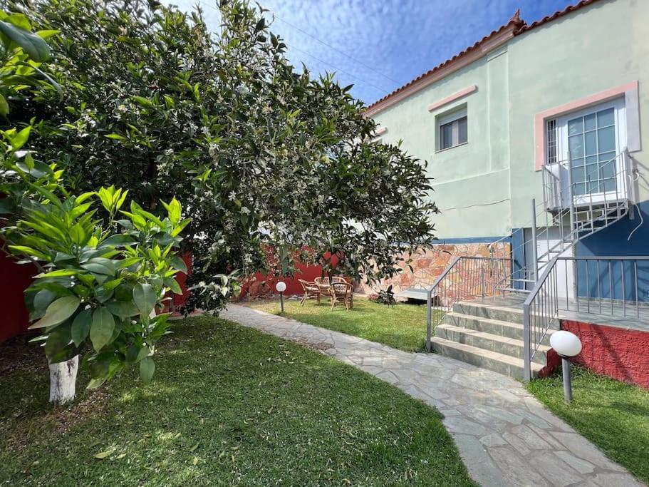 Vasiliki's House * Amarynthos